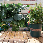 5PCS Durable Monstera Plant Stem Support Stake - Image 8