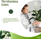 Stackable Plant Support Stakes, Indoor & Outdoor Houseplant Stem Support - Image 5