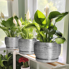 SQOWL Ceramic Pot for Plants - Image 6