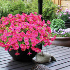 Artificial Flowers for Outdoors, UV Resistant Fake Silk Morning Glory, - Image 6