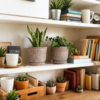 Gepege Ceramic Planter, 6 Inch Plant Pot - Image 4