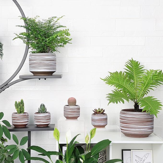 8 Inch + 6 Inch Ceramic Plant Pots Indoor - Image 6
