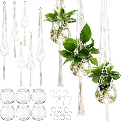 12 Pcs Plastic Plant Propagation by Colingmill