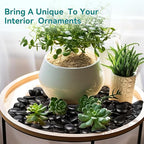 30 lbs Black Rocks for Planters, Polished Garden Stones for Outdoor Landscaping - Image 5