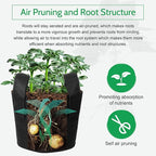 JERIA 12-Pack 25 Gallon Grow Bags, 300G Thickened Nonwoven Garden Pots - Image 5