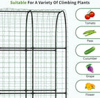DoCred 3 in 1 Raised Garden Bed - Image 9