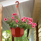 Roshtia 50 Pcs 5.9 inch Plastic Hanging Plant Pots - Image 7