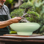Ceramic Bonsai Pots - Image 4