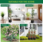 MQFORU 2Pack Raised Garden Bed Planter Boxes - Image 9