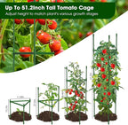8 Pack Tomato Cages for Garden, Heavy Duty Adjustable Tomato Stake Support for - Image 3