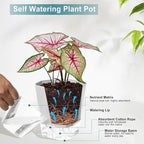 3 Pack Self Watering Flower Pots 6.5 Inch, Plant Pots - Image 4