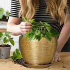 Ceramic Plant Pot 8 Inch - Image 7