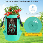 5 Pack Upside Down Strawberry Hanging Planter, 3 Gallon Tomato Hanging Grow Bags - Image 5