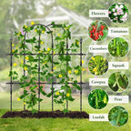 2026 New Upgraded Garden Trellis - Image 8