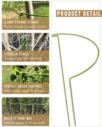 10-Pack Plant Support Stakes, Heavy Duty Steel Plant Stakes as Monstera Plant - Image 3