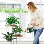 Plant Stand Indoor, 4 Tier Thickened Metal Corner Plant Shelf - Image 7