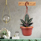 VIDELLY 4 Pieces Plastic Hanging Planters, 5.9 in Dia x 3.54 in H, Small Flower - Image 6