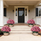 2 Pack Artificial Geranium Flowers Topitary Trees - Image 4