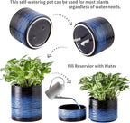 Nihow Self Watering Plant Pot: 6 Inch Ceramic Planter - Image 3