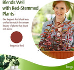 Stackable Plant Support Stakes, Indoor & Outdoor Houseplant Stem Support - Image 6