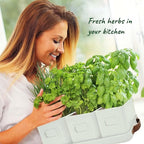 volila Herb Planter Indoor - Image 4