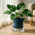 D'vine Dev 10 Inch Design Self Watering Planter - Image 3