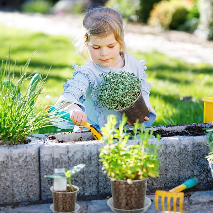 5 Inch Clear Nursery Pots for Plants - Image 7