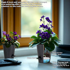 12 Pack 4 Inch Self Watering Plant Pots - Image 4