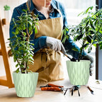 6 Pack 7 Inch Indoor Plant Pots - Image 7