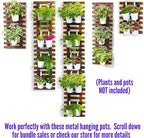 ShopLaLa Large Hanging Wall Planters - Image 6