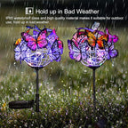 Outdoor Solar Garden Lights - Image 3
