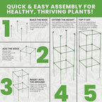 Tomato Cage Square - Image 7
