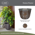 Classic Home and Garden Shaina Planting Pots - Image 2