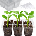 Bonviee 10 Packs Seed Starter Tray by BonvieeDirect