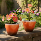 Plant Pots for Indoor Outdoor Plants, 8 Inch Glazed Planters for Indoor Plants - Image 6