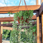 Tioncy 50 Pcs Plastic Hanging Planter Round Hanging Pot - Image 6