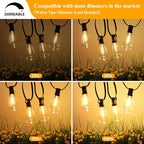 Brightever LED Outdoor String Lights 60FT - Image 4