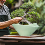 Ceramic Bonsai Pots - Image 4