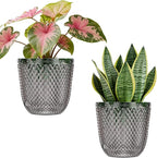 QCQHDU 2 Pack Self Watering Pots, 7.2 Inch Flower Pots by QCQHDU