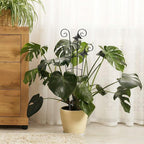 30'' Larger Plant Trellis with Ties Indoor, Expandable Metal Trellis - Image 8
