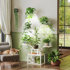 PRAISUN 51 Inch Plant Stand - Image 4