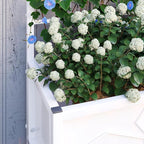 Outsunny Planter Box with Trellis, 35.4 x 15.7 x 47.2 inch Raised Garden Bed - Image 9