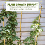 Avalution 10 Pack Bamboo Trellis - Image 2