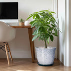 12 Inch Pot for Plants- Ceramic Planter Indoor Outdoor, Round Large Plant Pots - Image 3