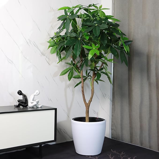Dexceder 18x17 Self Watering Planter - Image 6