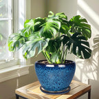 10 Inch Ceramic Planter Pot, Ceramic Plant Pot - Image 4