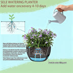Set of 2-8 Inch Self Watering Hanging Planters - Image 9
