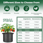 T4U 7 Gallon Grow Bags, Upgrade Grow Bags - Image 2