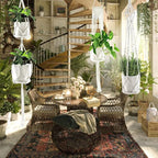 Macrame Plant Hangers - Image 7