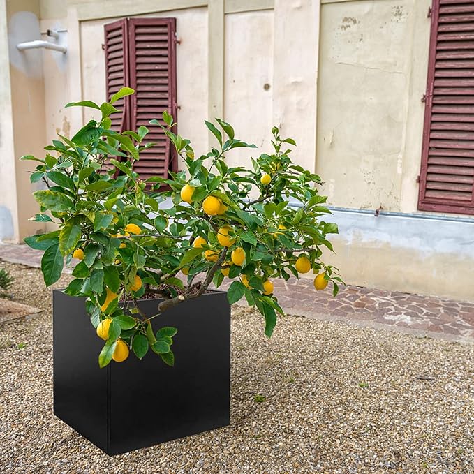 Galvanized Steel Planter Box Black Metal Planter 20Inch Large Square Indoor - Image 5